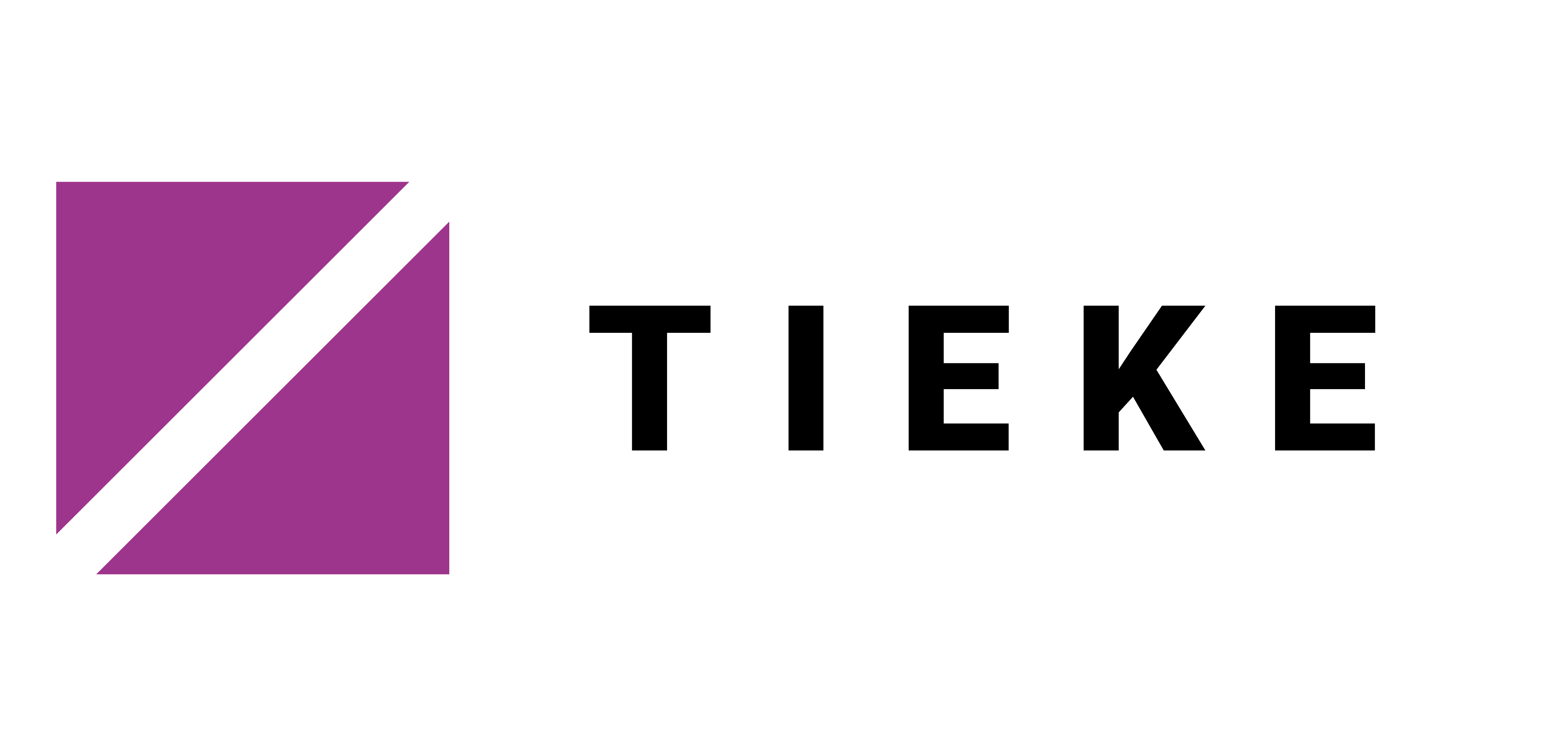 TIEKE Tietoyhteiskunnan kehittämiskeskus ry:n logo
